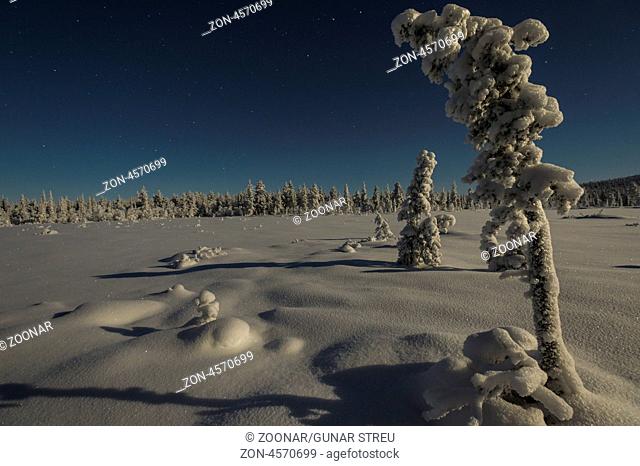 verschneite Landschaft im Mondenschein, Stubba Naturreservat, Welterbe Laponia, Norrbotten, Lappland, Schweden, November 2012