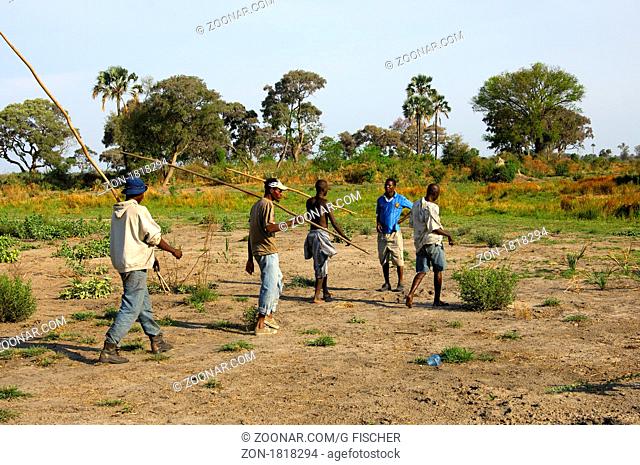 Junge Bayei Männer mit den langen Ruderstangen des traditionellen Mokoro Einbaums auf dem Weg ins Dorf, Okavango Delta, Botswana / Young men of the local Bayei...