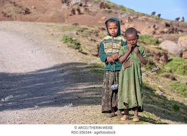 Children along road, Simien Mountains National Park, Semien Gondar Zone, Amhara Region, Ethiopia
