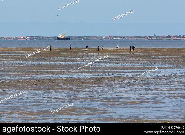 Harlesiel / Carolinensiel, Germany June 2020: Symbolic pictures - 2020 holiday guests hike at low tide through the mudflats on the beach of Harlesiel