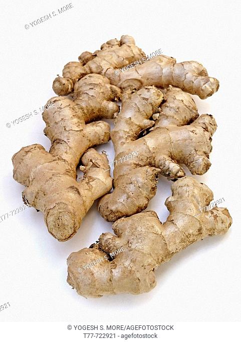 Ginger. Ginger is emollient, appetizer, laxative, stomachic, stimulant, rubefacient, aphrodisiac, expectorant and carminative