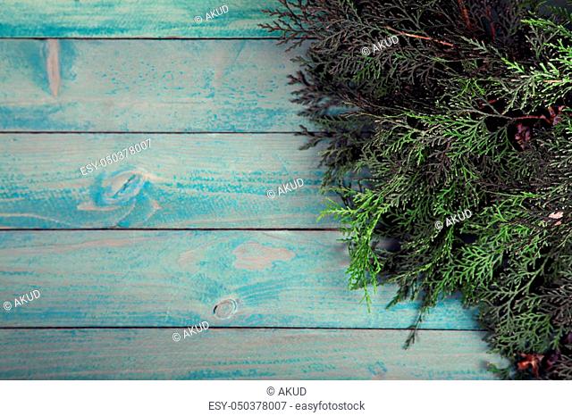 Branch of thuja on old wooden background