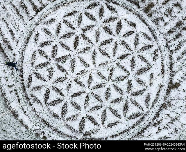 06 December 2023, Brandenburg, Jacobsdorf: Partially covered in snow is the ""Flower of Life"" symbol, created on a very special meadow for insects by artist...
