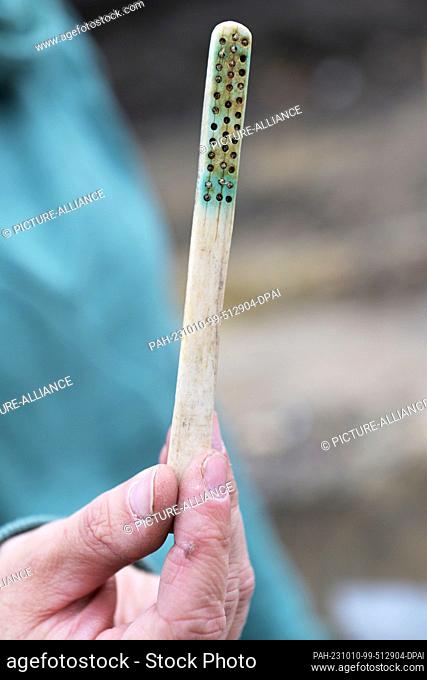 10 October 2023, Brandenburg, Potsdam: Archaeologist and excavation manager Julia Ebert shows a toothbrush from the mid-18th century that was found on the...