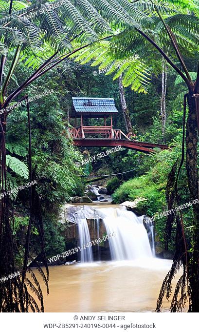 Parit Falls, Cameron Highlands, Malaysia