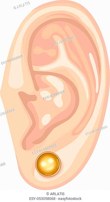 Human ear with framed earring front view, vector illustration isolated on white background