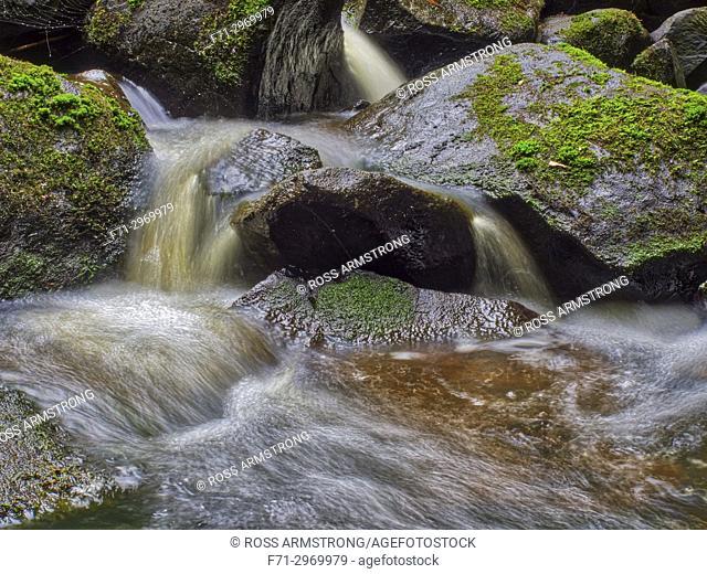 Water flowing over rocks in Wai Koromiko stream in AH Reed Memorial Park, Whangarei, Northland, New Zealand