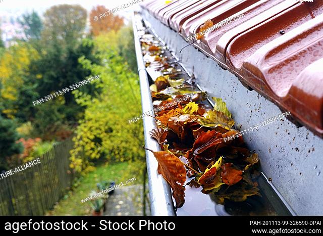 24 October 2020, Thuringia, Zella-Mehlis: Leaves have accumulated in the gutter of an apartment building in a garden. The leaves clog the drain and rainwater...