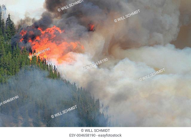 Forest Fire in the Rocky Mountains 10