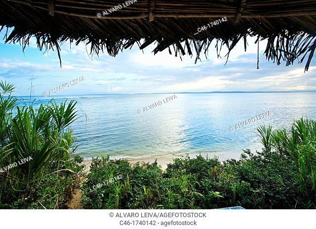 Bastimentos island, Bocas del Toro province, Caribbean sea, Panama