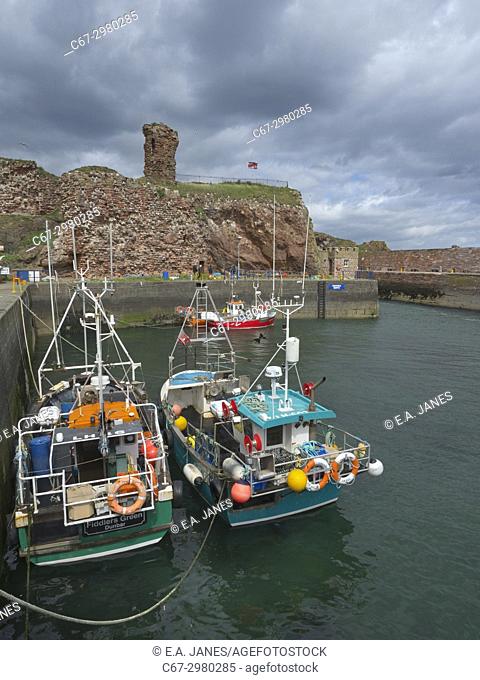 Crab Boats in Dunbar Harbour and historic castle Dunbar Scotland