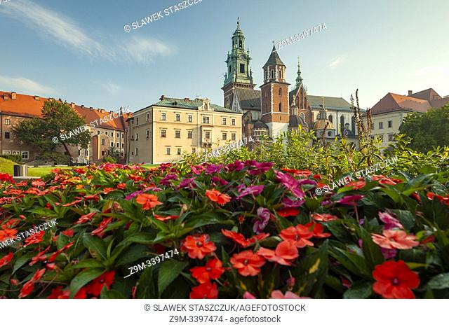 Summer morning at Wawel Royal Castle in Kraków, Poland