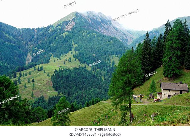 Alp, Lesach Valley, Carinthia, Alps, Austria