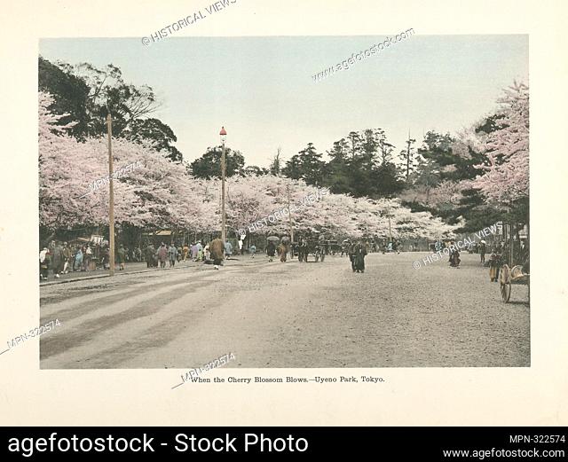 When the Cherry Blossom Blows. - Uyeno Park, Tokyo. Japan. Sights and scenes in fair Japan. Date Issued: 1910 - 1919 (Approximate) Place: Tokyo