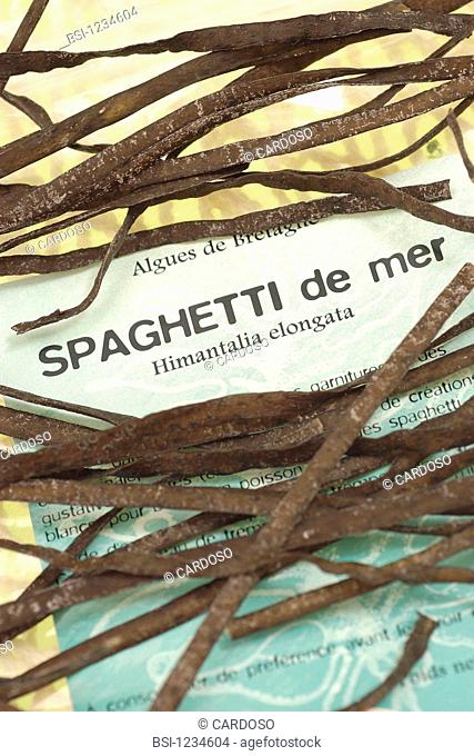 Edible algae. Sea spaghetti