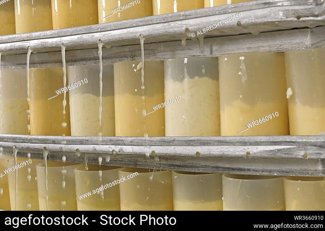 Germany, Baden Wuerttemberg, Raw cheese in bottles, close up