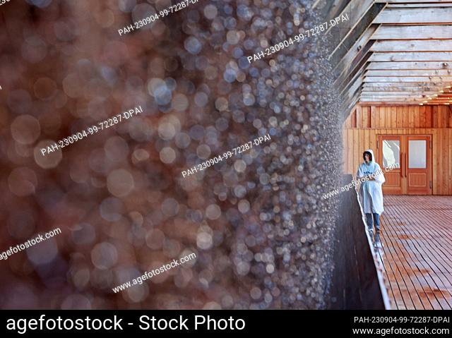 04 September 2023, Thuringia, Bad Salzungen: Visitors walk through the graduation house in Bad Salzungen. Salt water flows down dry branches in the Bad...