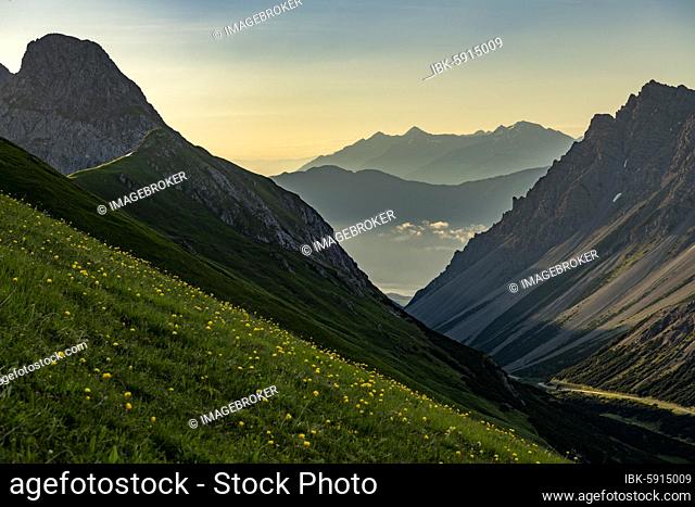 Mountain meadow of the Habart ridge in the foreground with mountains of the Maldon ridge in the background at sunrise, Elmen, Lechtal Alps, Außerfern, Tyrol