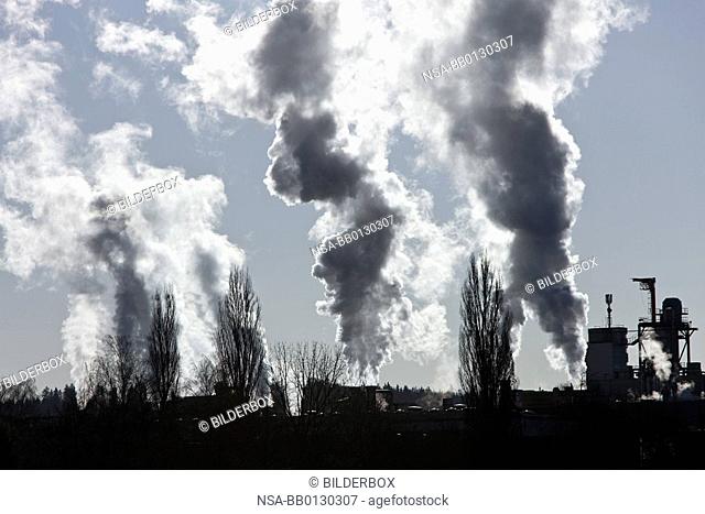 Smoking chimneys