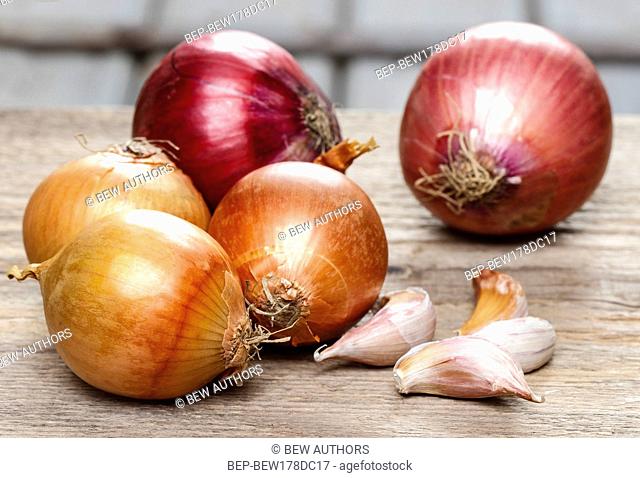 Onions and garlic on wooden table