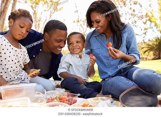Family Enjoying Summer Picnic In Park Together