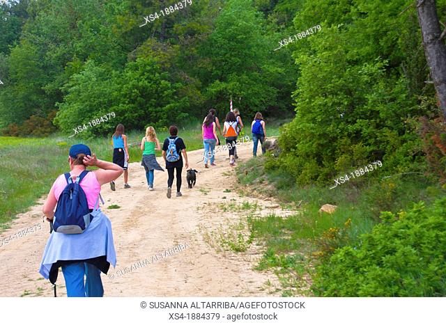 Group of 9 women hiking through the countryside in spring time with backpack and a dog  Photo taken in Pinos, Lleida, Spain, Europe