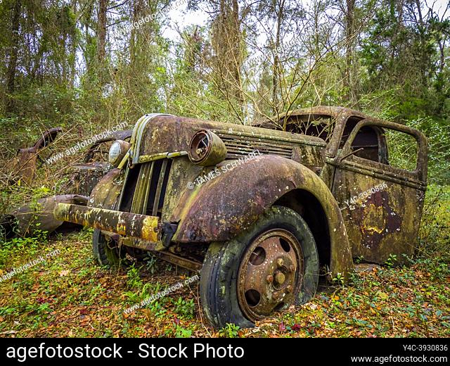 Old rusted abandoned trucks in Crawfordville Florida