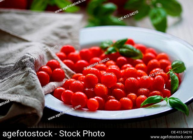 Close up fresh juicy small red tomatoes