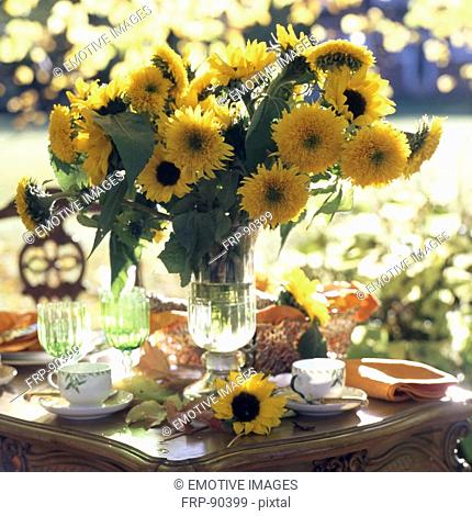 Layed table with bunch of sunflowers