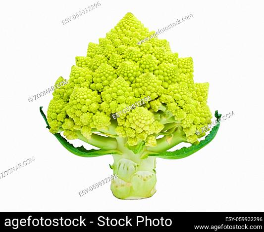 Green Romanesco broccoli isolated on white background
