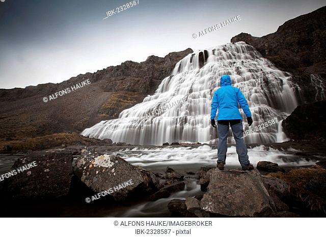 Hiker in front of the Dynjandi waterfall, Fjallfoss, West Fjords, Iceland, Europe