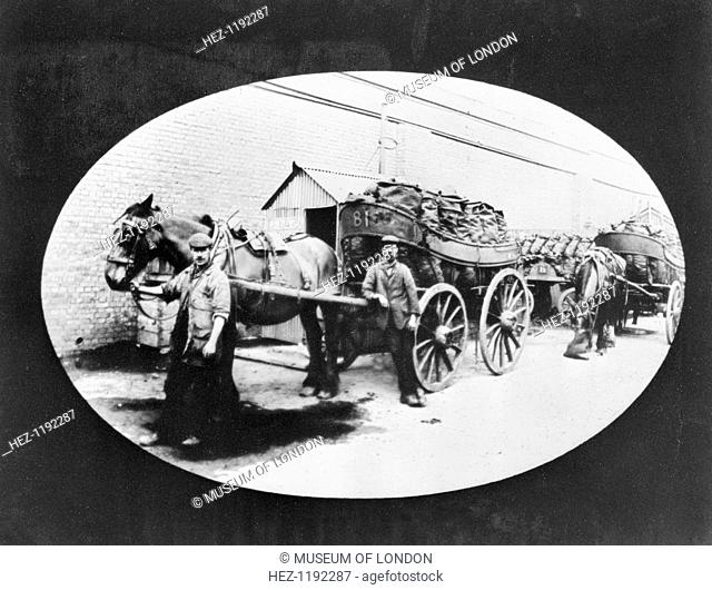 Loaded coal carts. Coal delivery men photgraphed with full coal waggons. The horse on the right is feeding from a nosebag
