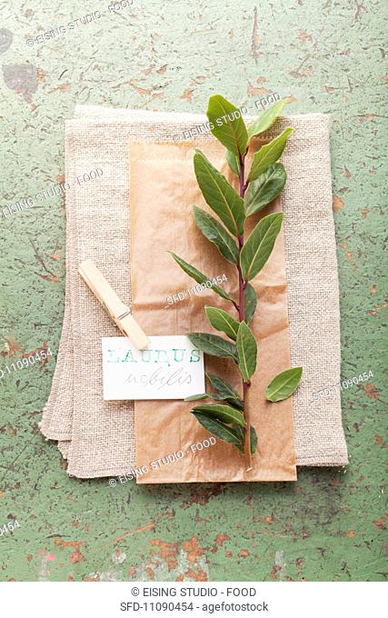 Fresh bay leaves with a label