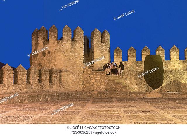 Castle Palace of the Counts of Cabra (9th century). Cabra. Cordoba province. Region of Andalusia. Spain. Europe