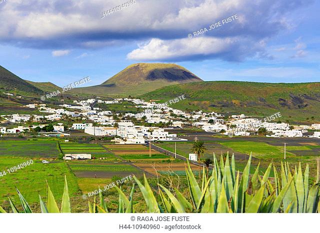 Spain, Europe, Canary Islands, Haria, Lanzarote, Island, Mague, Village, agriculture, cactus, plants, colourful, dry, flowers, landscape, touristic, travel
