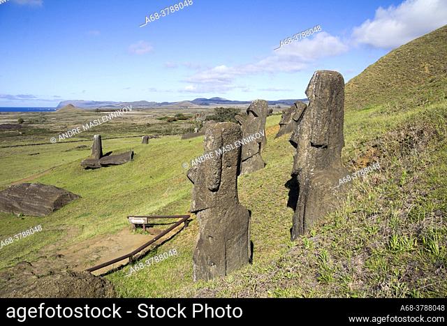 Stone sculpture, moai, at the stone quarry on the slope to the crater Rano Raraku which is an extinct volcanic crater on Easter Island