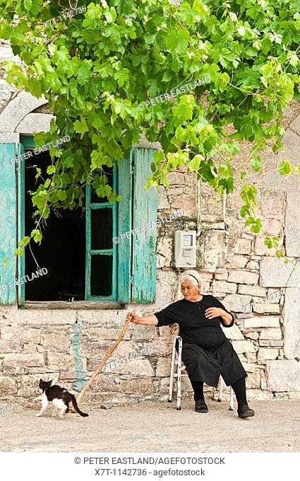 Wonan playing with a cat in the fishing village of Trahila, in the Outer Mani, Southern Peloponnese, Greece