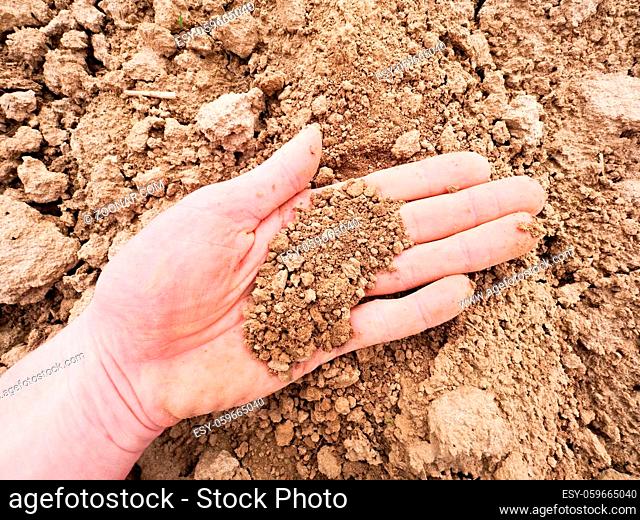 Pink skin hand looking for something in wet brown clay in the field. Dusty palm, dust between fingers, dirty nails