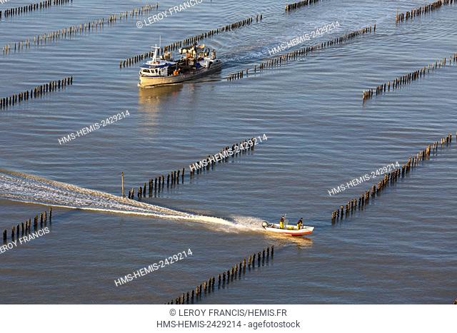 France, Vendee, La Faute sur Mer, boat and its tender in a bouchot mussels farm (aerial view)