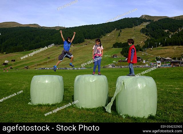 Children play on the bales of hay in the meadows of Livigno, Valtellina, Lombardy, Italy