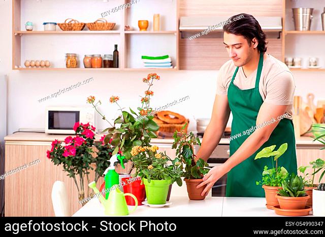 Young handsome man cultivating flowers at home