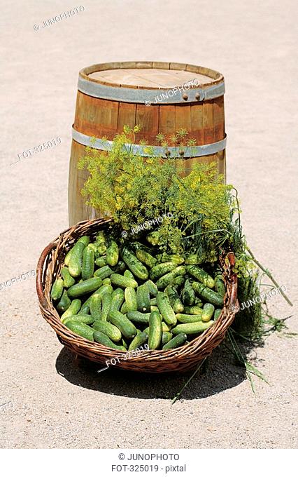 Basket of cucumbers and fennel in front of wooden barrel