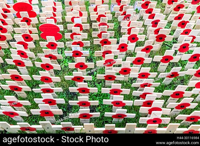 England, London, Westminster Abbey, The Field of Remembrance, Display of Memorial Crosses