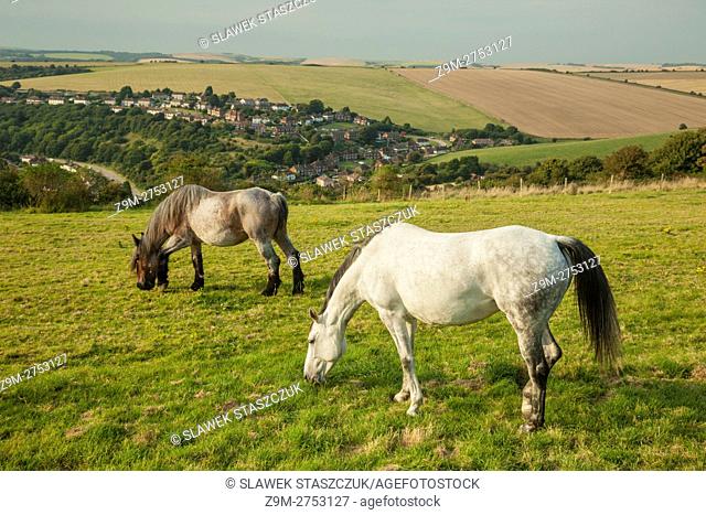 Late summer afternoon on South Downs near Brighton, East Sussex, England