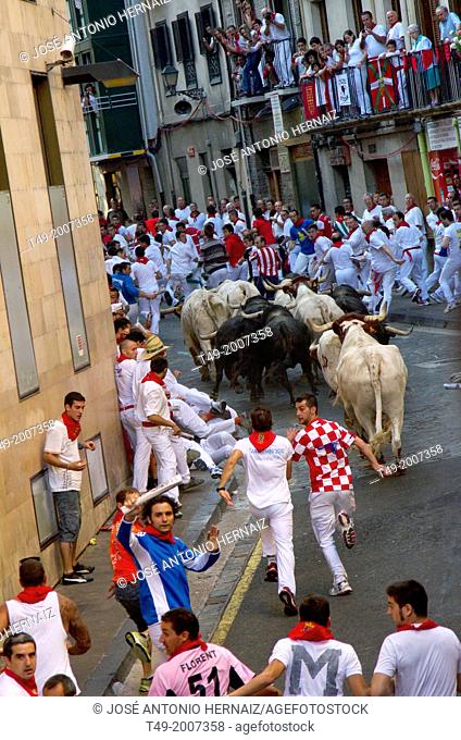 running of the bulls in San Fermin in Pamplona (Navarre)