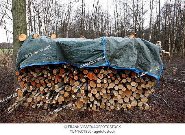 Firewood protected against rain, The Netherlands