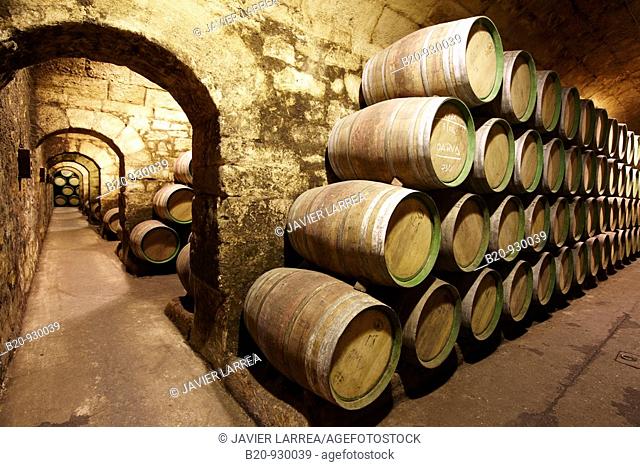 Reserve wine barrels, Marques de Riscal winery, Elciego, Rioja Alavesa, Araba, Euskadi, Spain