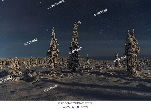 moonlit winter landscape, Lapland, Sweden