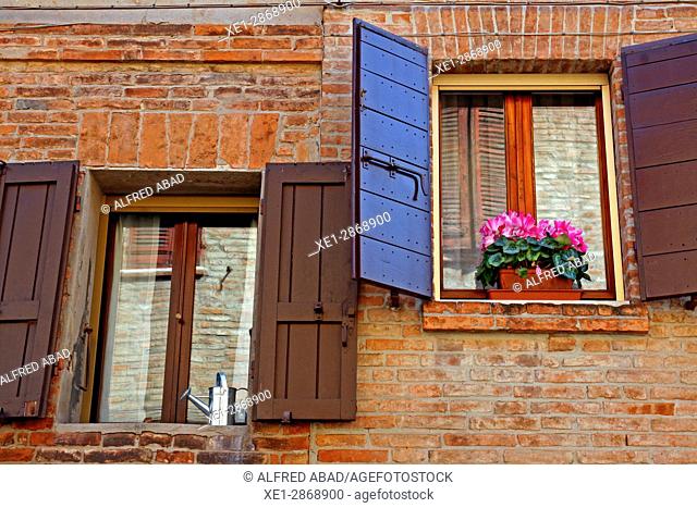 Windows and flower pot, Ferrara, Italy