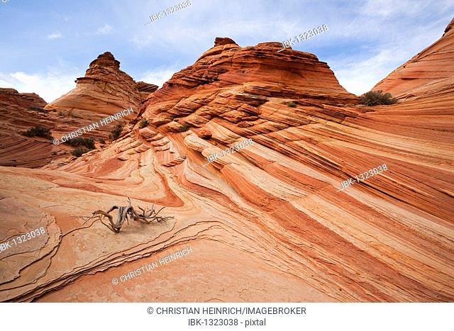Colorful rock formations in the Coyote Buttes South, Paria Canyon-Vermilion Cliffs Wilderness, Utah, Arizona, America, United States